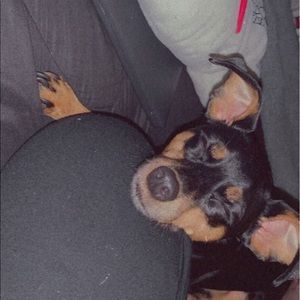 Meet your Posher, Hailey